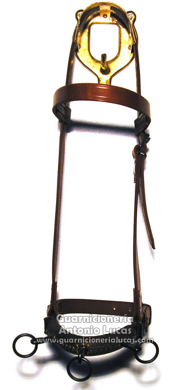 Cabezada Picadero Eco